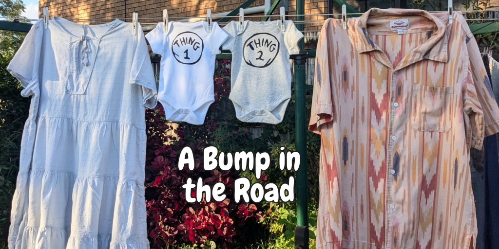 A Bump in the&nbsp;Road